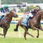 sandown guineas bet on